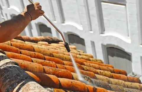 Nettoyage de toitures - Botsorhel